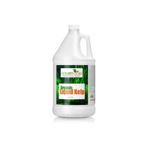 1 Gallon Liquid Kelp Concentrate for Extensive Soil Coverage and Plant Nutrition