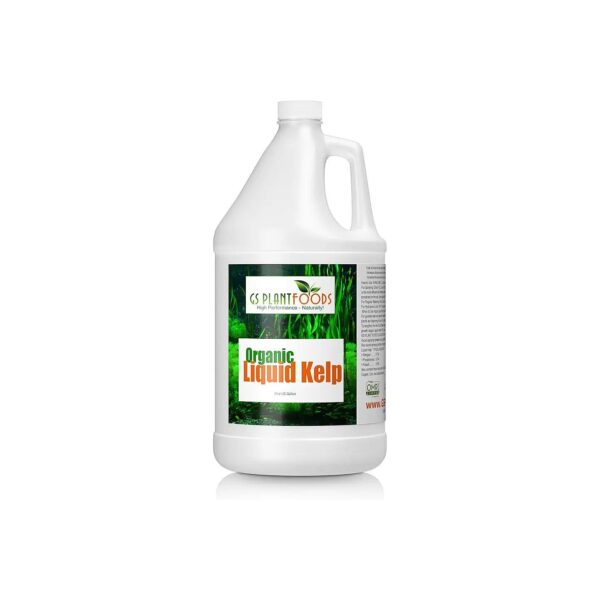 1 Gallon Liquid Kelp Concentrate for Extensive Soil Coverage and Plant Nutrition