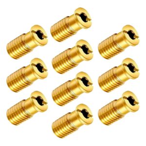 10 Pieces Pool Safety Cover Anchor Screws Replacement Kit With Brass Screws