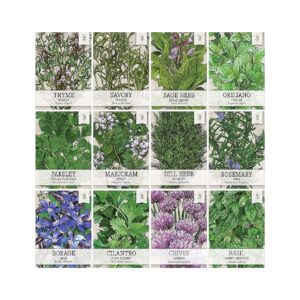 12 Individual Herb Seeds for Planting Indoors or Outdoors Cute Herb Garden