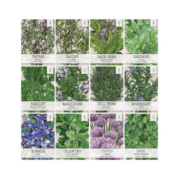 12 Individual Herb Seeds for Planting Indoors or Outdoors Cute Herb Garden