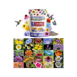 120,000+ Seeds, 25 Varieties, Quick Sprouting Seeds