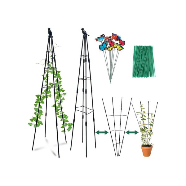 2 Foot Garden Obelisk Trellis for Climbing Plants with Adjustable Height