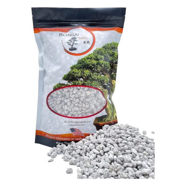 2 Quart Bag of Fine Particle Pumice for Bonsai and Succulent Potting