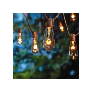 20Ft Brown Outdoor String Lights with 22 Vintage E12 ST40 Bulbs for Garden