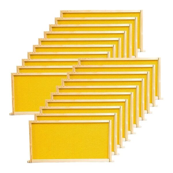 20-Pack Unassembled Beehive Frames with Wax Coated Foundation Sheets