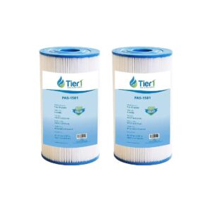 2-Pack Replacement Filter Cartridge for Compatible Spa and Pool Models