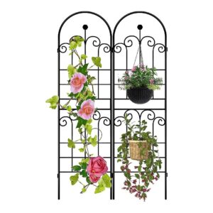 2-Piece Rustic Metal Trellis Set for Supporting Climbing Plants, Flowers, and Vegetables