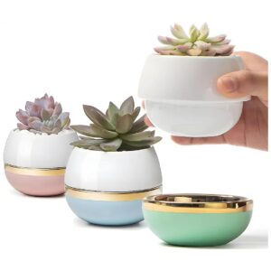 3 Colorful Porcelain Succulent Pots with Drainage Holes and Decorative Pebbles