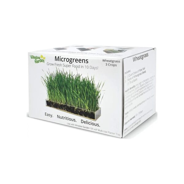 3 Count Refill Pack of Organic Wheatgrass Microgreens for Window Gardening