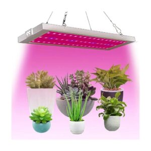 300W LED Grow Lamp for Micro Greens and Clones with High Lumens