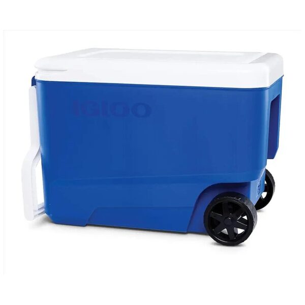 36 Liter Cooler with White and Blue Color Scheme for Outdoor Adventures