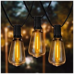 36ft Long LED Filament Bulb String Lights, Dimmable,