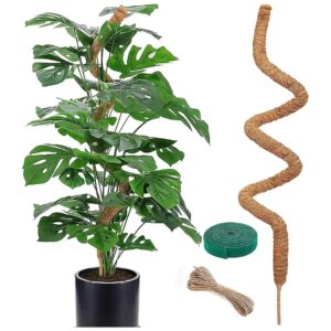 48 Inch Long Handmade Coco Coir Moss Pole for Plants Monstera Climbing Support