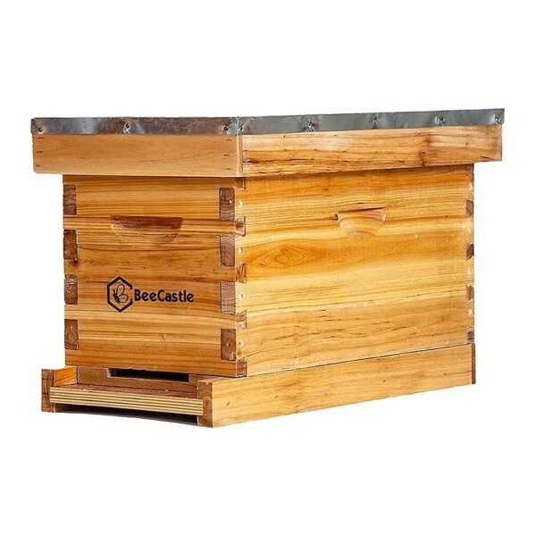 5 Frame Beehive Nuc Box with Beeswax Coating and Pre-Assembled Wooden Frames