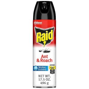 5 oz Aerosol Spray for Killing Ants and Roaches on Contact