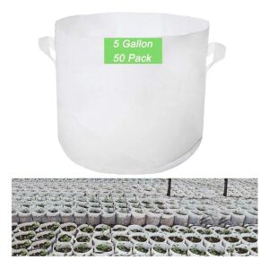 50-Pack 5-Gallon Grow Pots with Handles for Large-Scale Tree and Plant Farming