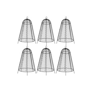 6 Pack Black Wire Garden Cloches for Indoor and Outdoor Planting