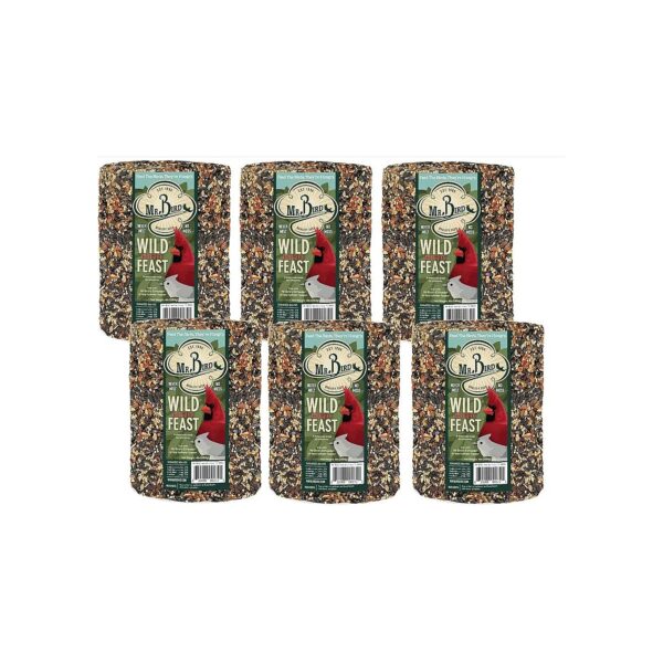 6-Inch Diameter Wild Bird Feast Seed Cylinder with No Fillers