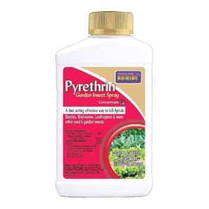 Acting Pyrethrin-Based Insecticide for Effective Outdoor Insect Control Pest Management