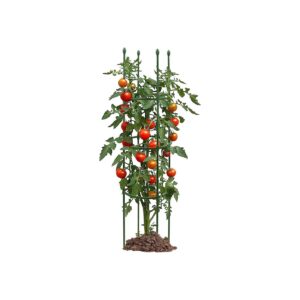 Adjustable Garden Support Cage for Tomatoes and Climbing Plants Up to 1 Inch Long