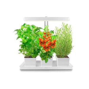 Adjustable Height 20W LED Grow Light Kit for Indoor Herbs and Small Plants