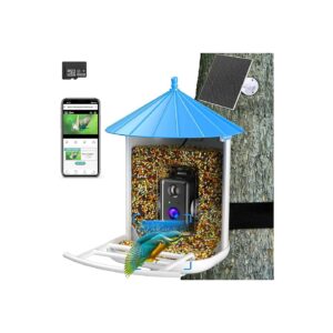 Advanced Blue Jay Bird Feeder with Auto Capture and Instant Sharing via Wi-Fi and App