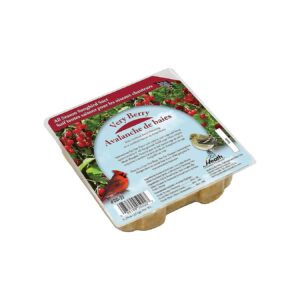 All Season Songbird Suet Cakes with Berry Flavor