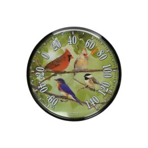 Analog Multicolor Thermometer with Songbirds Design for Wall Mounting