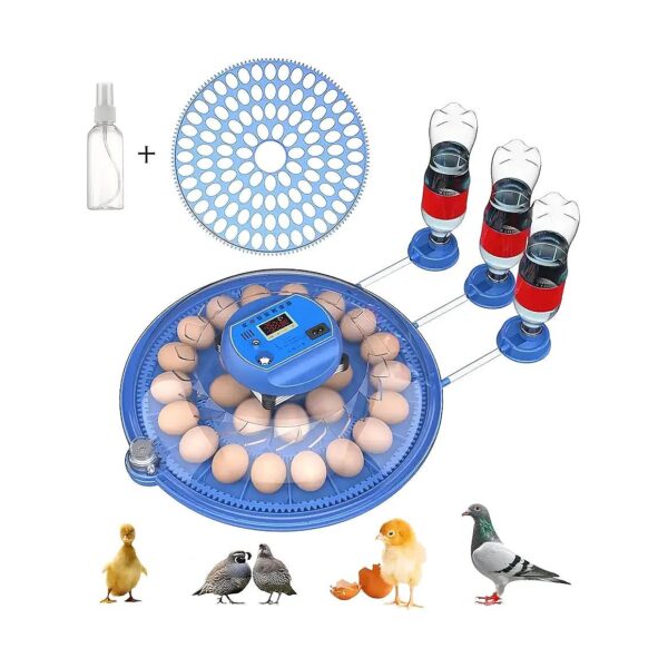 Automatic Egg Incubators for Hatching Poultry Eggs with LED Display and Detachable Design