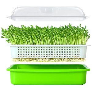 BPA Free Polypropylene Seed Sprouter Tray for Healthy Wheatgrass and Soybean Growth