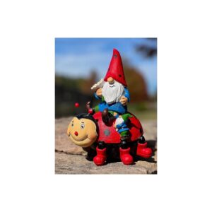 Beautiful Ladybug Gnome Decoration for Garden and Indoor Home Decor