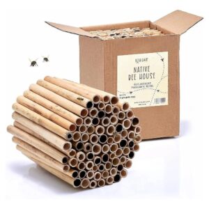 Bee Friendly Reed Tubes for Garden Starter Kit and Mason Bees Supplies