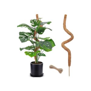 Bendable Moss Pole for Monstera Pothos Plants Large Support System