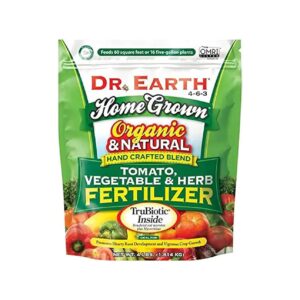 Best Organic Fertilizer for Growing Nutritious Tomatoes and Vegetables