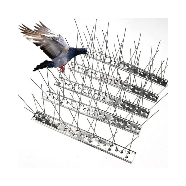 Bird Deterrent Spikes for Fence Roof Mailbox Window Protection