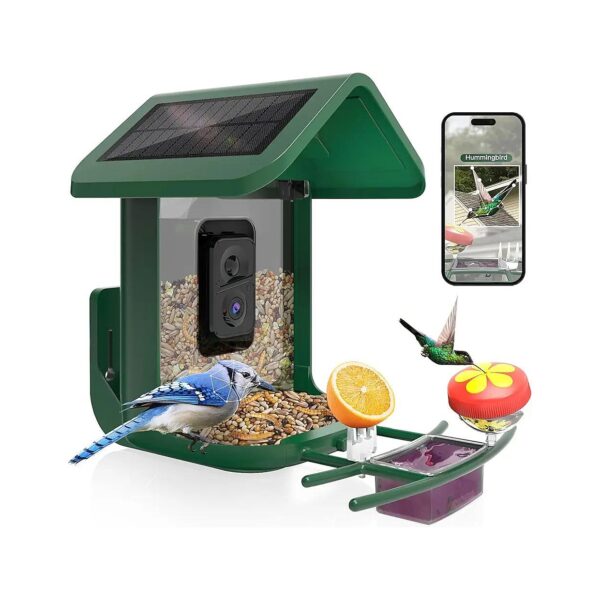 Bird Feeder Camera for Outdoor Use with Remote Real-Time Monitoring