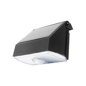 Black Plastic Modern Outdoor LED Light Fixture with Motion Detection and Solar Power