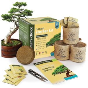 Bonsai Starter Kit for Women and Men