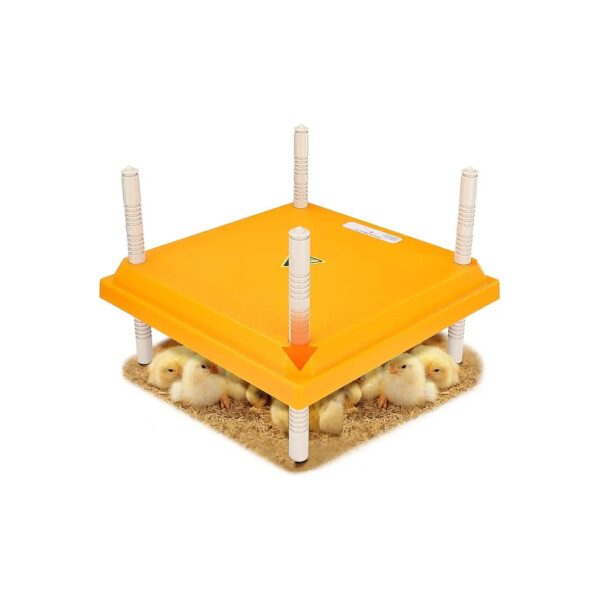 Brooder Heater for Chicks with Adjustable Height and Angle for Optimal Heating