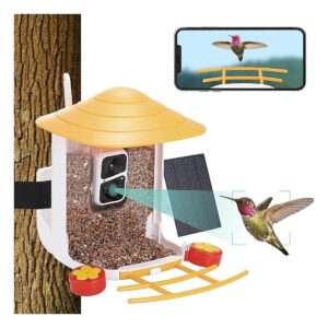 Capture Bird Photos and Videos with Solar Powered Feeder Camera