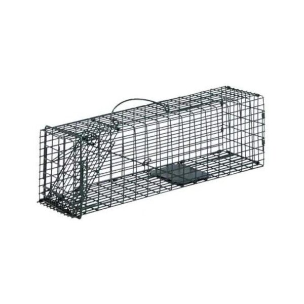 Catch Cage Trap 16l X 5w X 5h