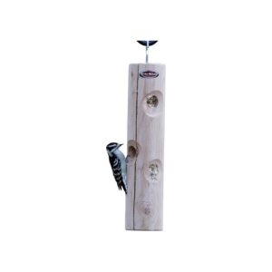 Cedarwood Hanging Suet Feeder Log with 4 Convenient Plug Vents