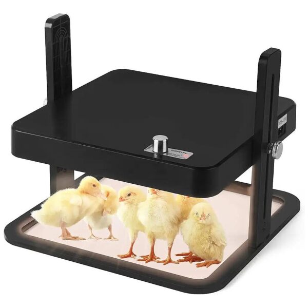 Chicken Brooder Heater with Adjustable Temperature Control for Ducklings and Chicks