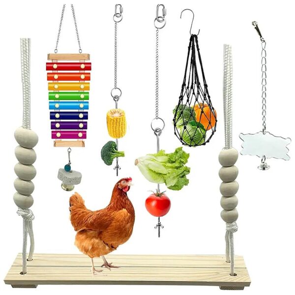 Chicken Toy Set with Xylophone, Mirror, and Hanging Feeder