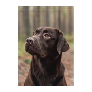 Chocolate Labrador Double Sided Garden Flag for Home and Garden Decoration