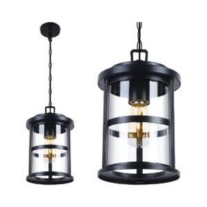 Classic Black Pendant Light Fixture with Clear Glass Shade for Patio, Yard, or Garden