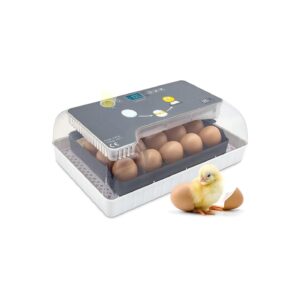 Clear Egg Incubator with LED Display, Automatic Egg Turner, and Temperature Control