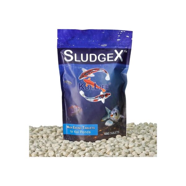 Clear Pond Bottom and Healthy Fish with SludgeX Pond Tablets for Small Ponds