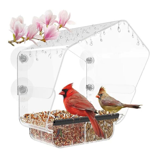 Clear Window Bird Feeder for Outside with Strong Suction Cups and Adjustable Size